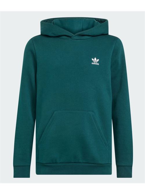 hoodie ADIDAS ORIGINAL | JX2742AURIVY